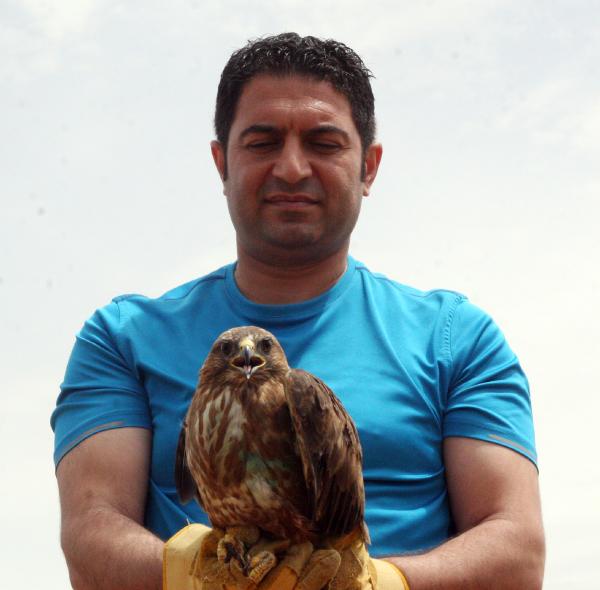 Şanlıurfa'da Tedavi Edilen Kuşlar Doğaya Salındı