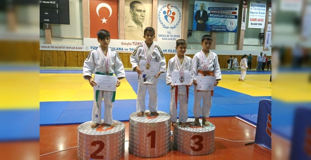 Judo'da Türkiye şampiyonluğu