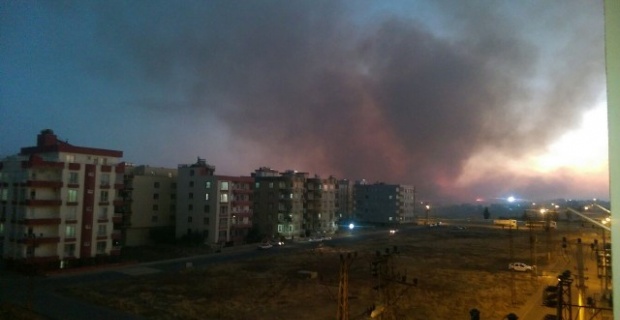 Viranşehir'de anız yangını