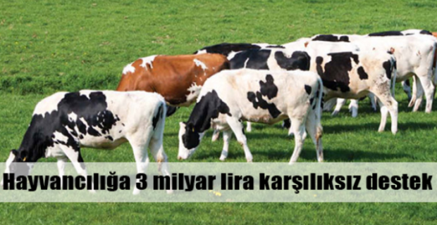 Yıldız,“Türk hayvancılığı güçlenmeli"