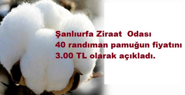 Eyyüpoğlu: "Çiftçimizin hakkını kimse yiyemez"