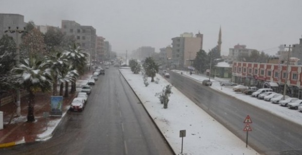Viranşehir'de kar yağışı nedeniyle mahsur kalan 12 araç, karayolları ekiplerince kurtarıldı.