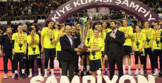 Türkiye Kupası, Fenerbahçe'nin