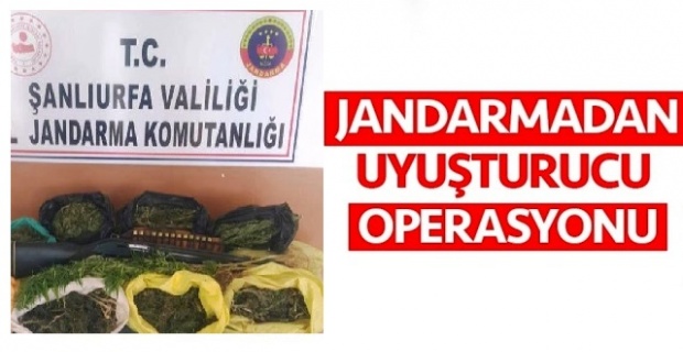 Jandarma'dan Uyuşturucu Operasyonu