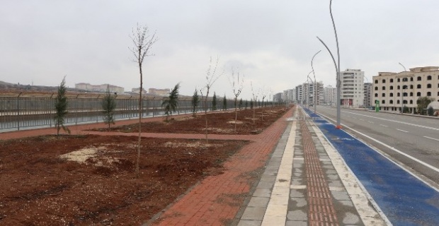 Büyükşehir Belediyesi,Yeşil alan çalışmalarına ağırlık veriyor