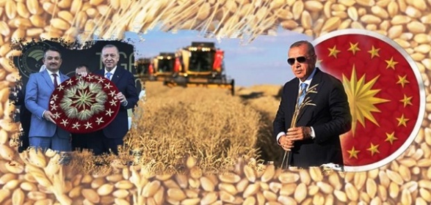 Hububat alım fiyatlarını Mayıs'ın ilk haftası  Cumhurbaşkanı Erdoğan Açıklayacak.