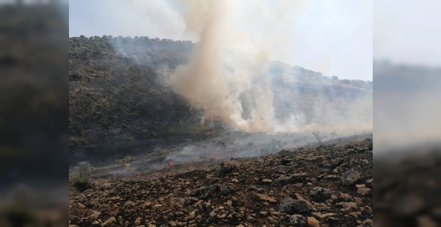 Mardin’in  Savur  ilçesinde ormanlık alanda örtü yangını çıktı.