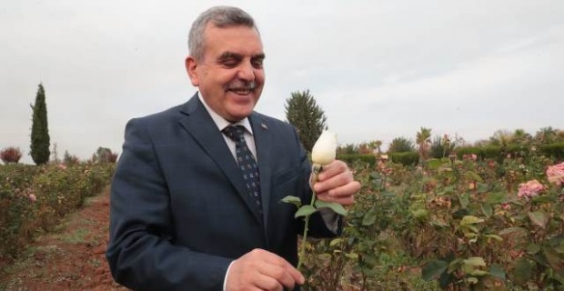 Büyükşehir kendi çiçeğini üreterek 1.5 milyon Tl tasarruf edecek