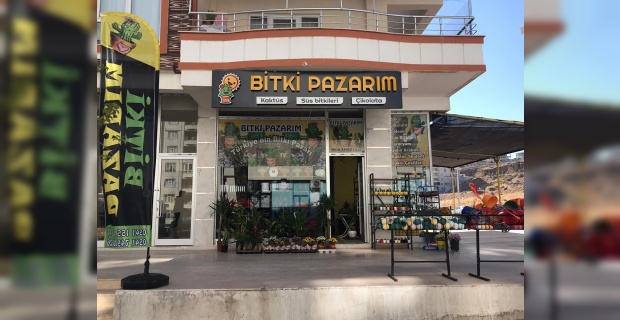"BİTKİ PAZARIM" HİZMETE GİRİYOR