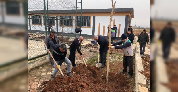 Hilvan’da Ağaçlandırma Çalışmaları devam ediyor