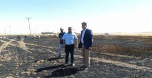 Harran’da 300 dekar hububat ekili alan yandı