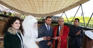 Demirkol,Göbeklitepe'de genç bir çiftin nikahını kıydı.