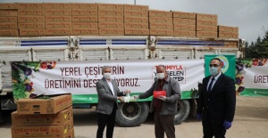 Gaziantep Büyükşehir Belediyesi "250 bin adet domates, patlıcan ve biber fidesi dağıttık"