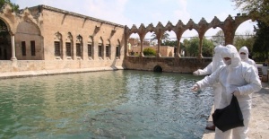Halil-ur Rahman gölündeki balıklar düzenli olarak besleniyor.