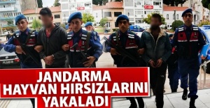 Gaziantep ve Şanlıurfa'da hayvan hırsızlığı failleri yakalandı