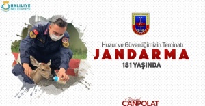 Haliliye Belediye Başkanı Canpolat "Jandarma Teşkilatımızın 181.yıldönümü kutlu olsun"