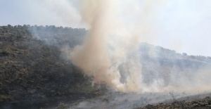 Mardin’in  Savur  ilçesinde ormanlık alanda örtü yangını çıktı.