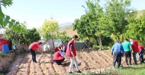 Siirt'te Vefa Sosyal Destek Grubu, destek isteyen vatandaşın bahçesinde çalıştı.