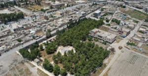 Barış Pınarı Bölgesinde Park ve Bahçeler Halka Açılıyor