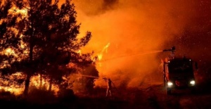 81 İl Valiliğine, Ormanlık Alanlarda Ateş Yakılmaması Genelgesi