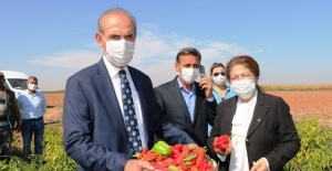 Polat,Akçakale Belediye Başkanı Yalçınkaya'yı Ziyaret Etti