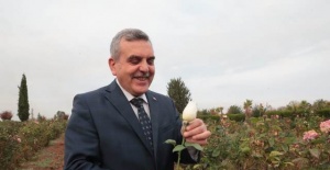 Büyükşehir kendi çiçeğini üreterek 1.5 milyon Tl tasarruf edecek