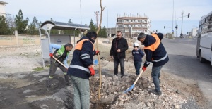 Viranşehir'de Ağaçlandırma Çalışması