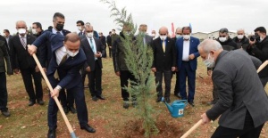 Osmanbey’de Bir Orman Oluşturuluyor