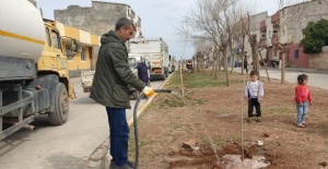 Viranşehir Belediyesi,‘ Daha Yeşil Bir Kent’ sloganıyla yeşillendirme çalışmalarına devam ediyor.