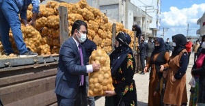 Hilvan'da 28 ton patates dağıtıldı